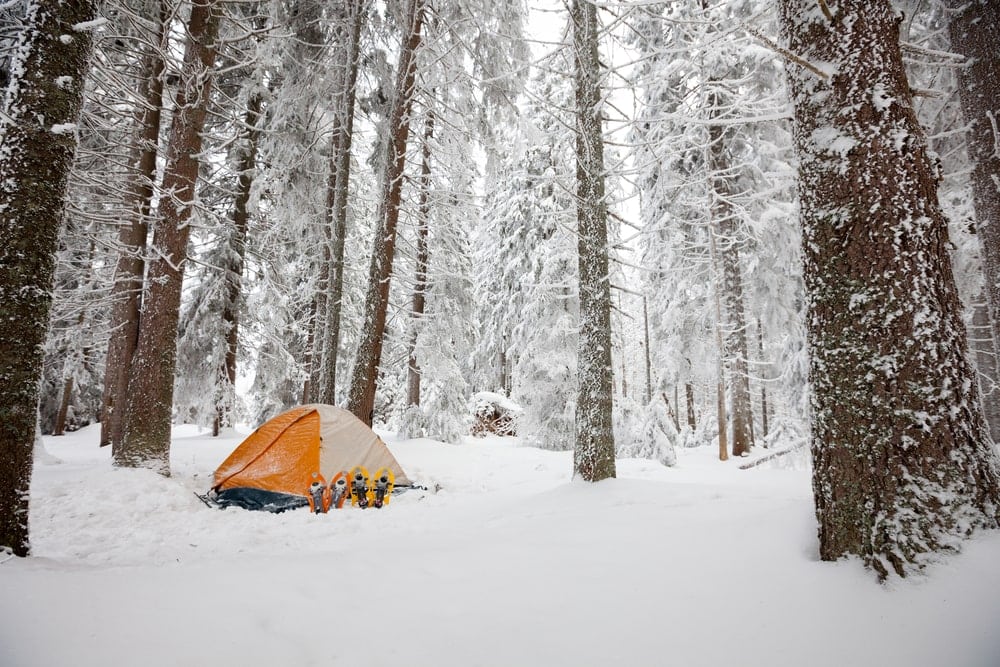 A tent in the middle of snowy woods