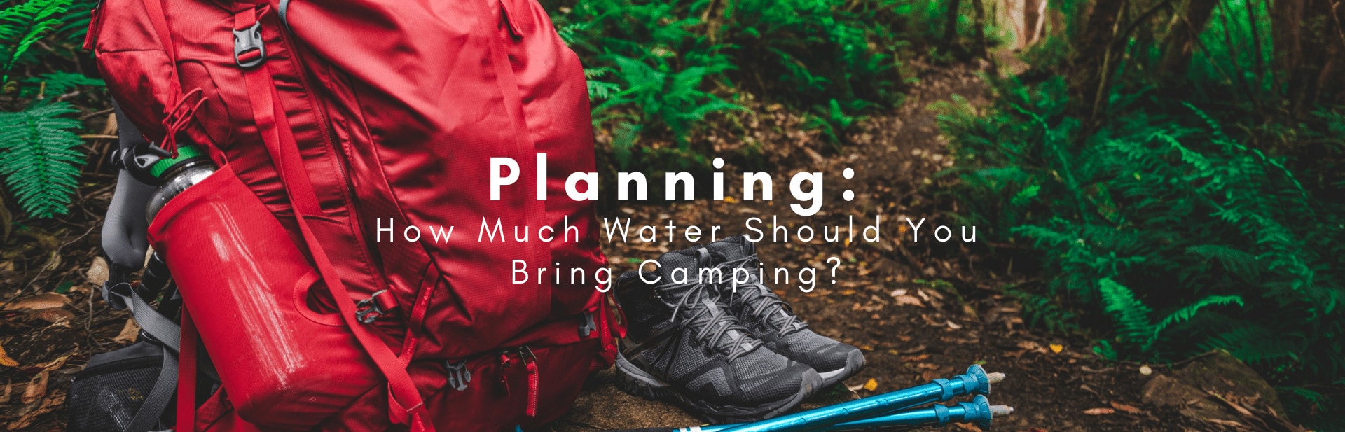 How Much Water Should I Bring Camping? - Outforia
