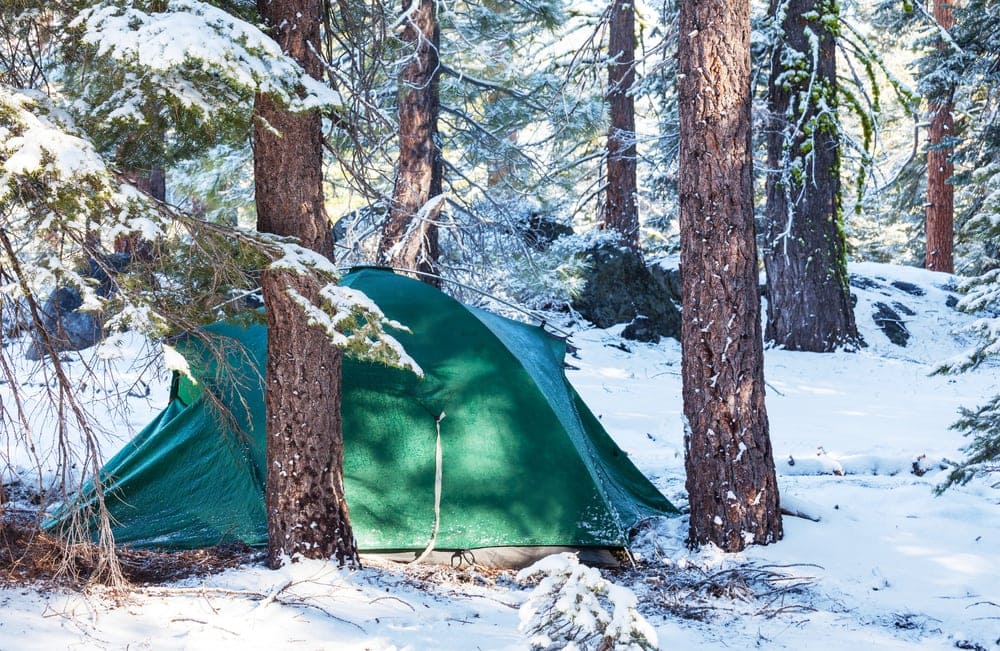 a tent in the middle of a snowy forest
