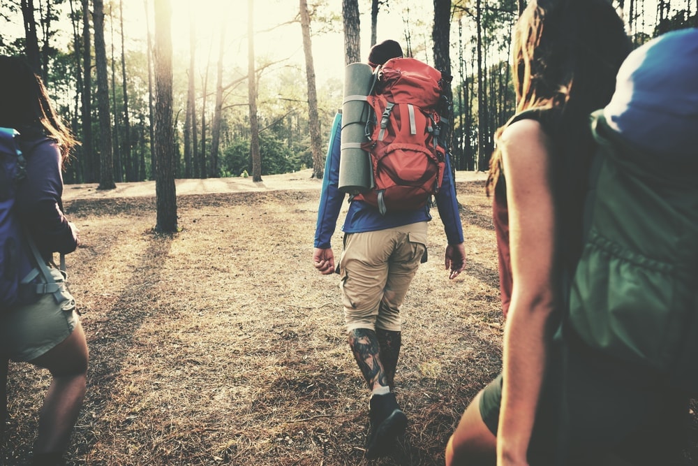 Group of backpackers hiking