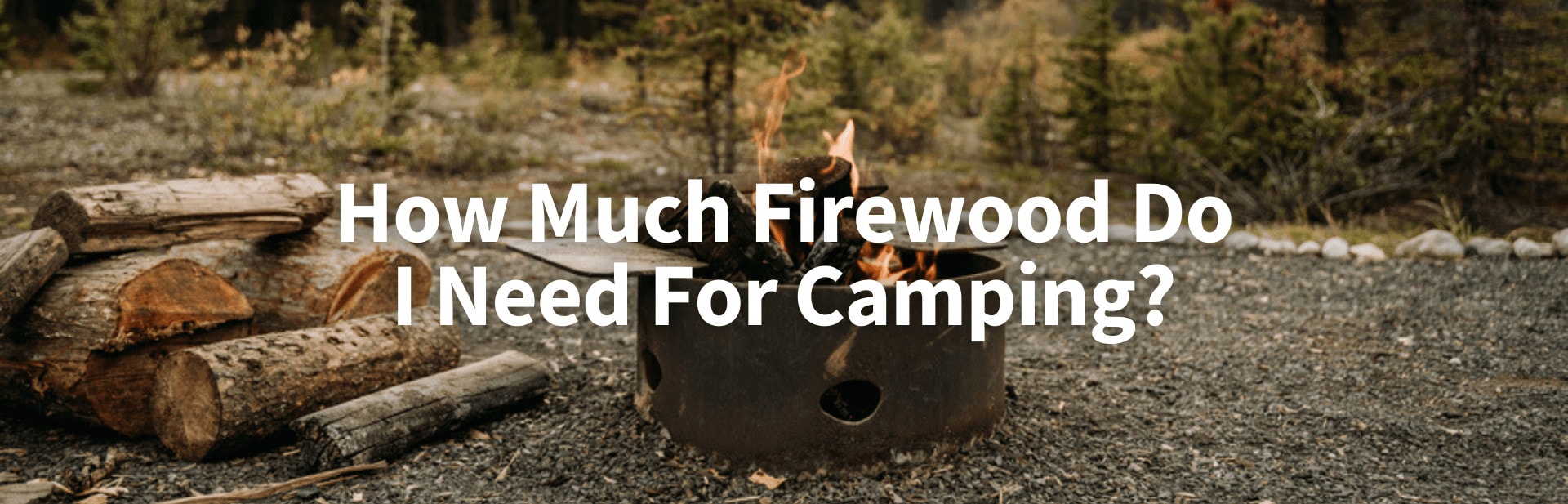 How Much Firewood Do I Need For Camping? Your Questions Answered