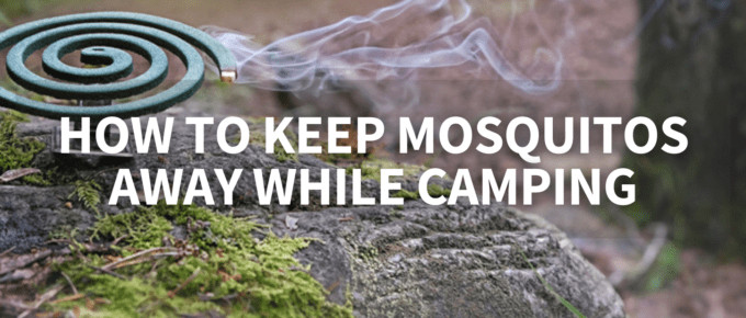 How to keep mosquitos away while camping featured image