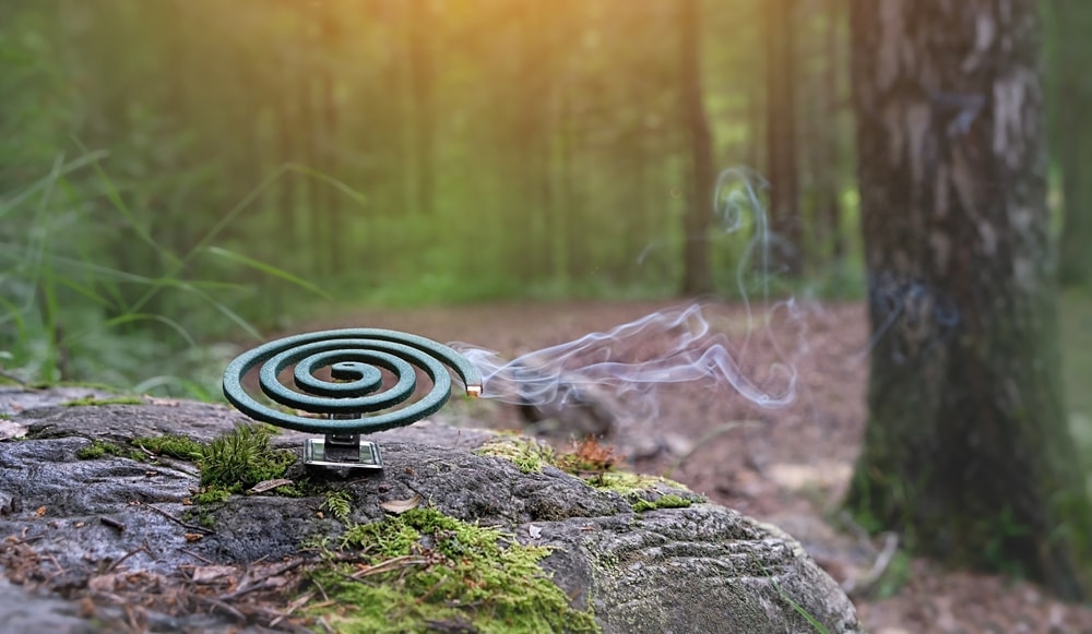 Camping coil in the forest
