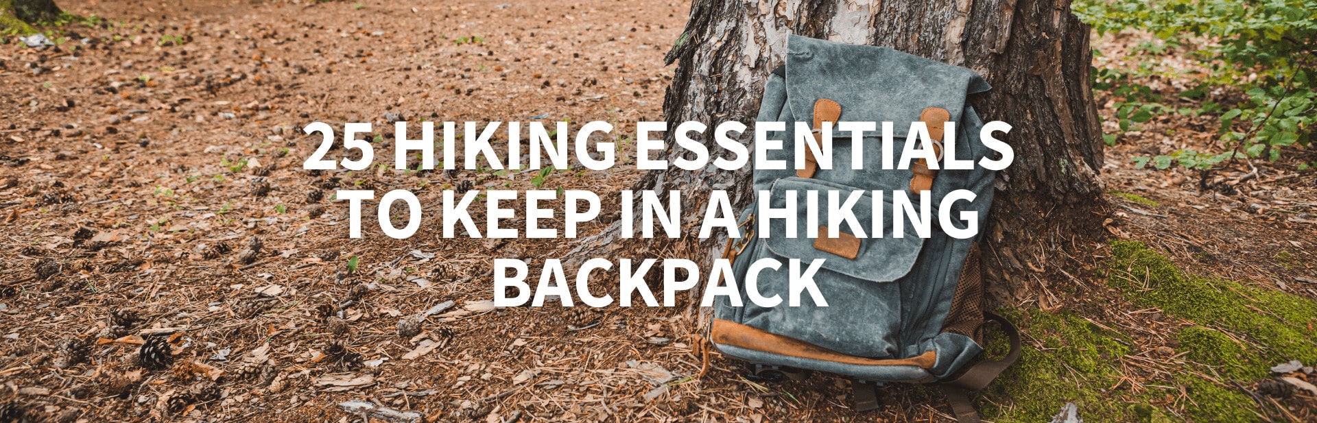 What to Keep in a Hiking Backpack: 25 Essential Pieces of Gear
