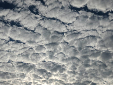Identifying The 10 Types of Clouds: Pictures & Chart (+ 14 Seldom Ones)