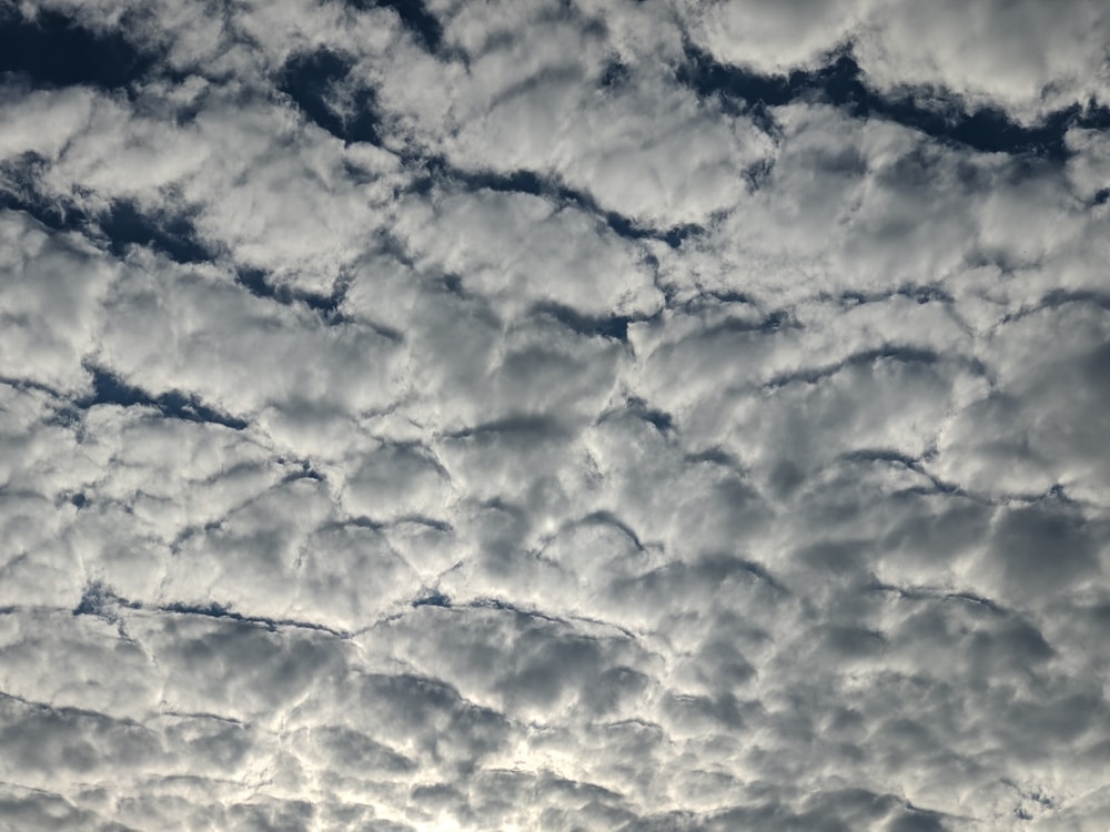 Stratocumulus clouds after sunrise