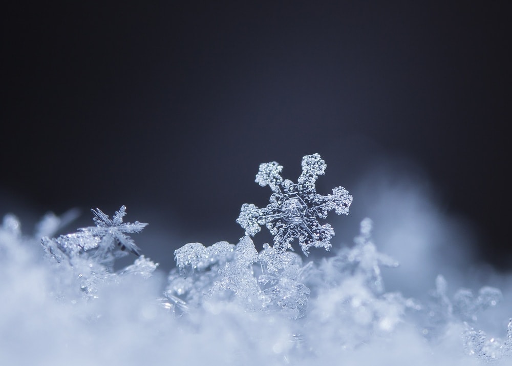 Snow crystal close up