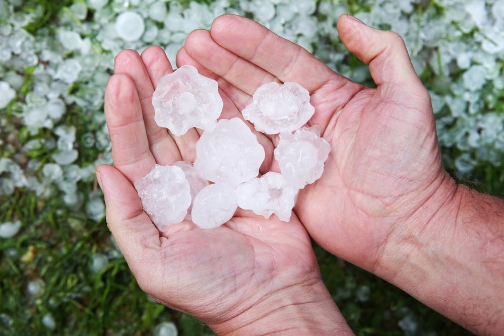 Hands holding hailstones from hail storm
