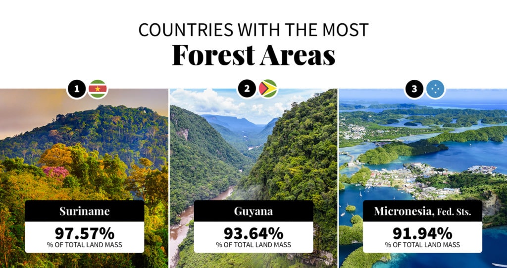 list of countries with most forest areas