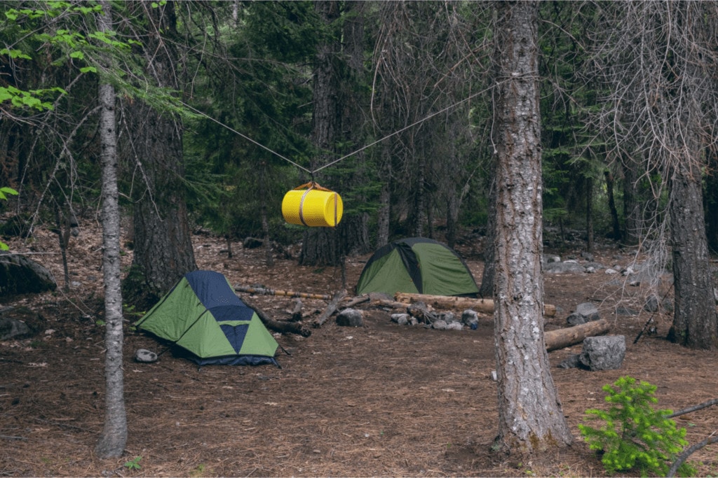 Hanging bear container between trees to keep food away from bears with camping tents in the background