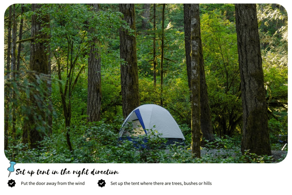 Camping tent set up between tall trees in the forest