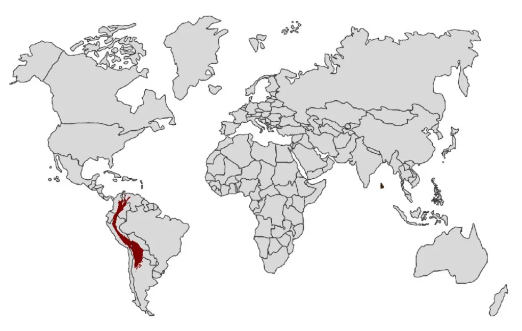 spectacled bear distribution map