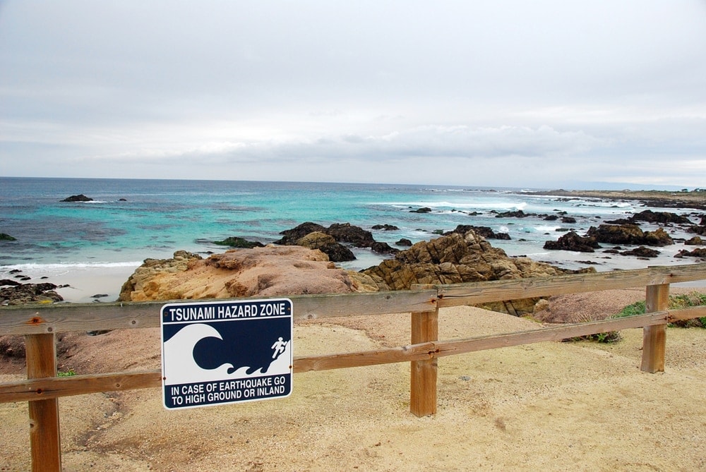 Tsunami warning signs along the Pacific coastline 