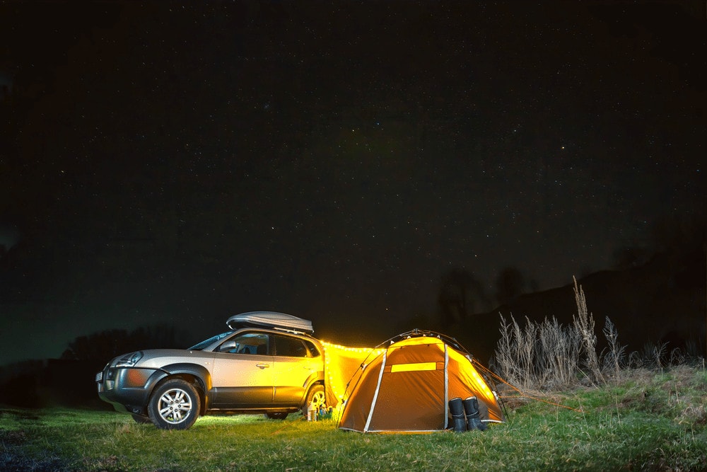 Car camping in bear country at night