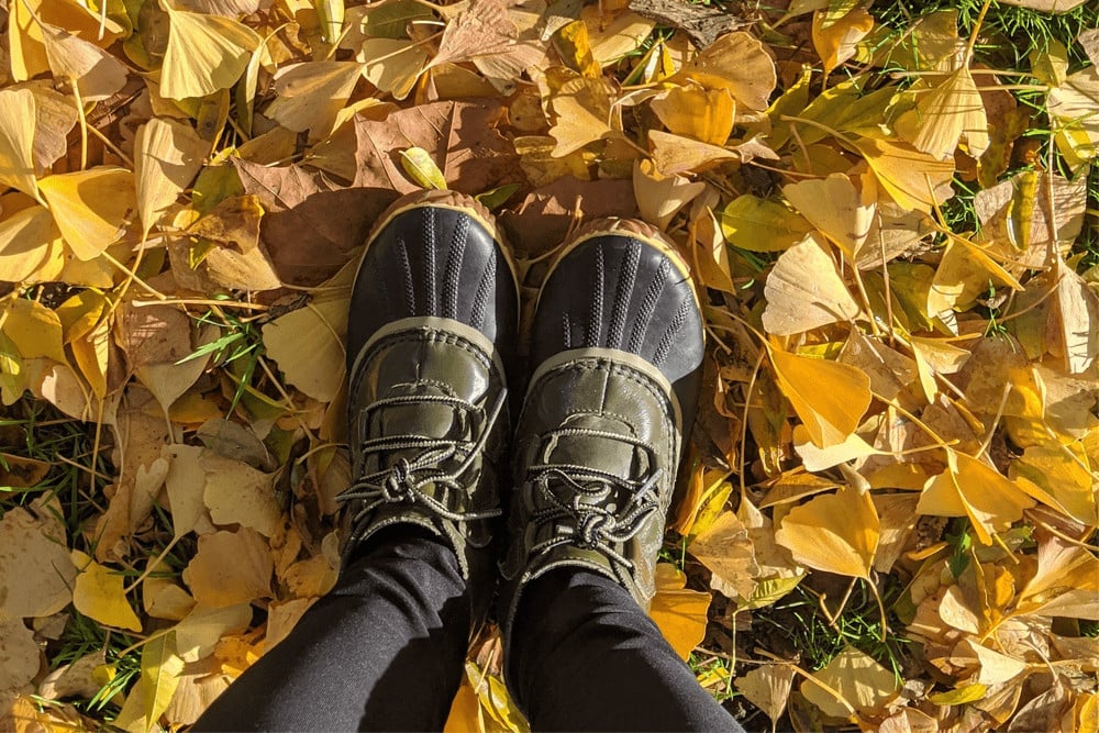 Bean Boots on yellow leaves