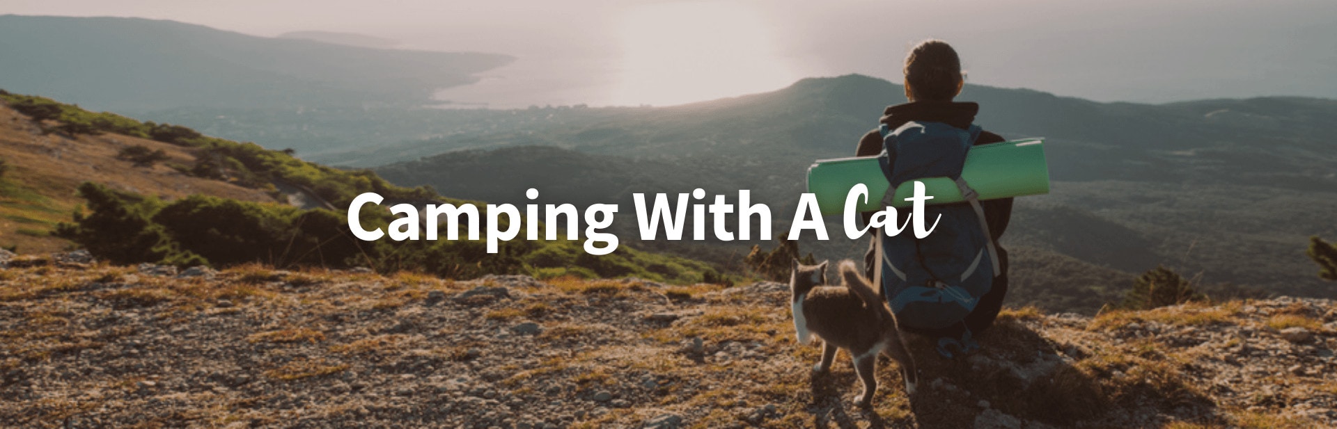 13 Tips for Camping With your Cat