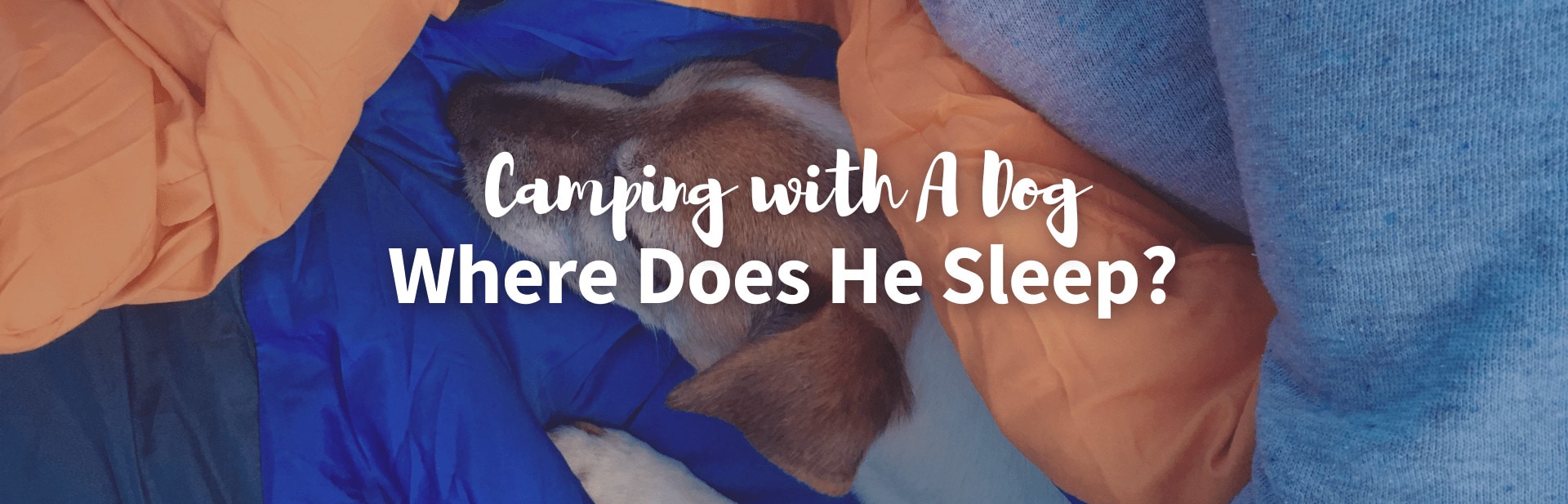 Camping with a Dog: Where Does He Sleep?