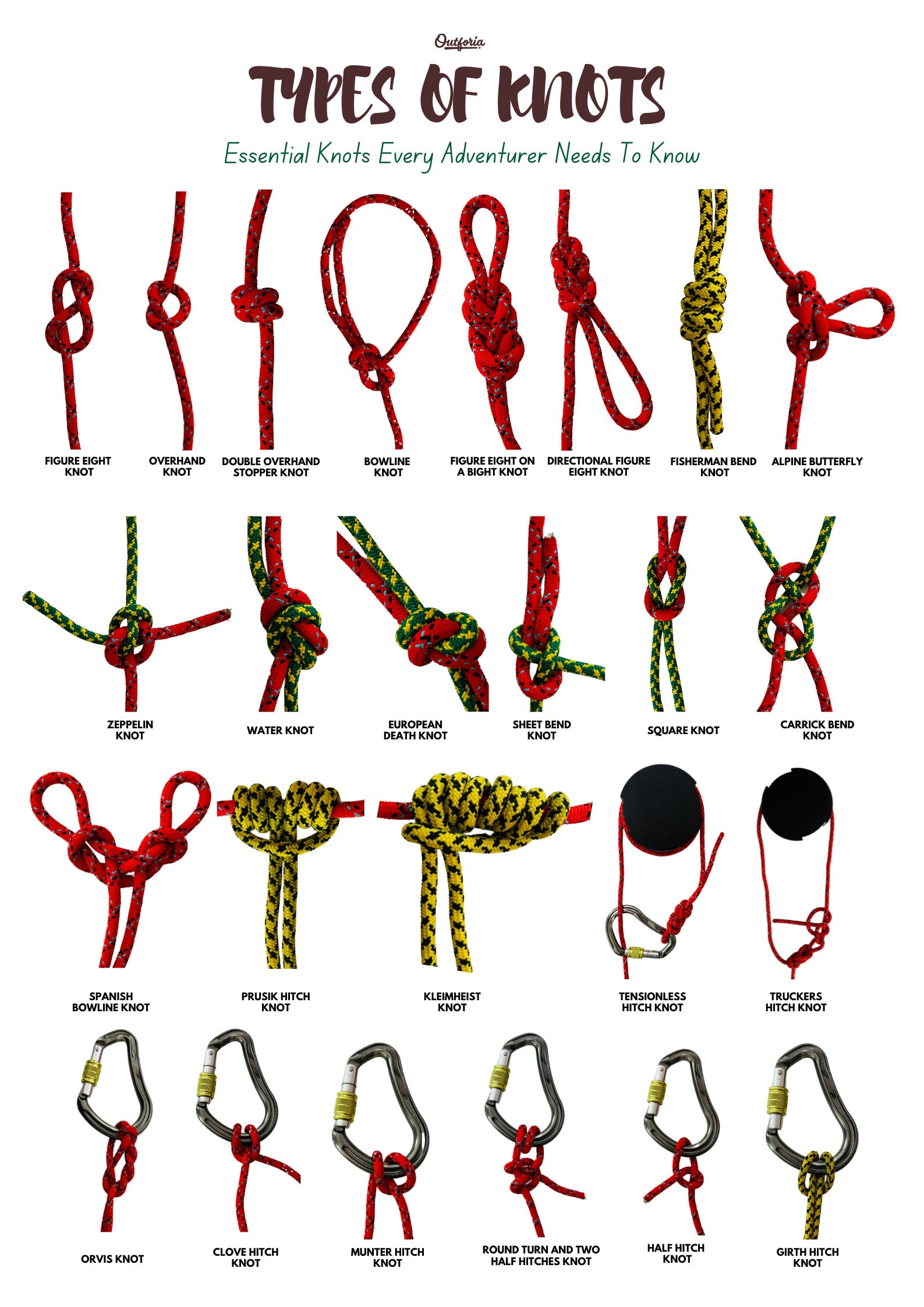 infographic about types of knots
