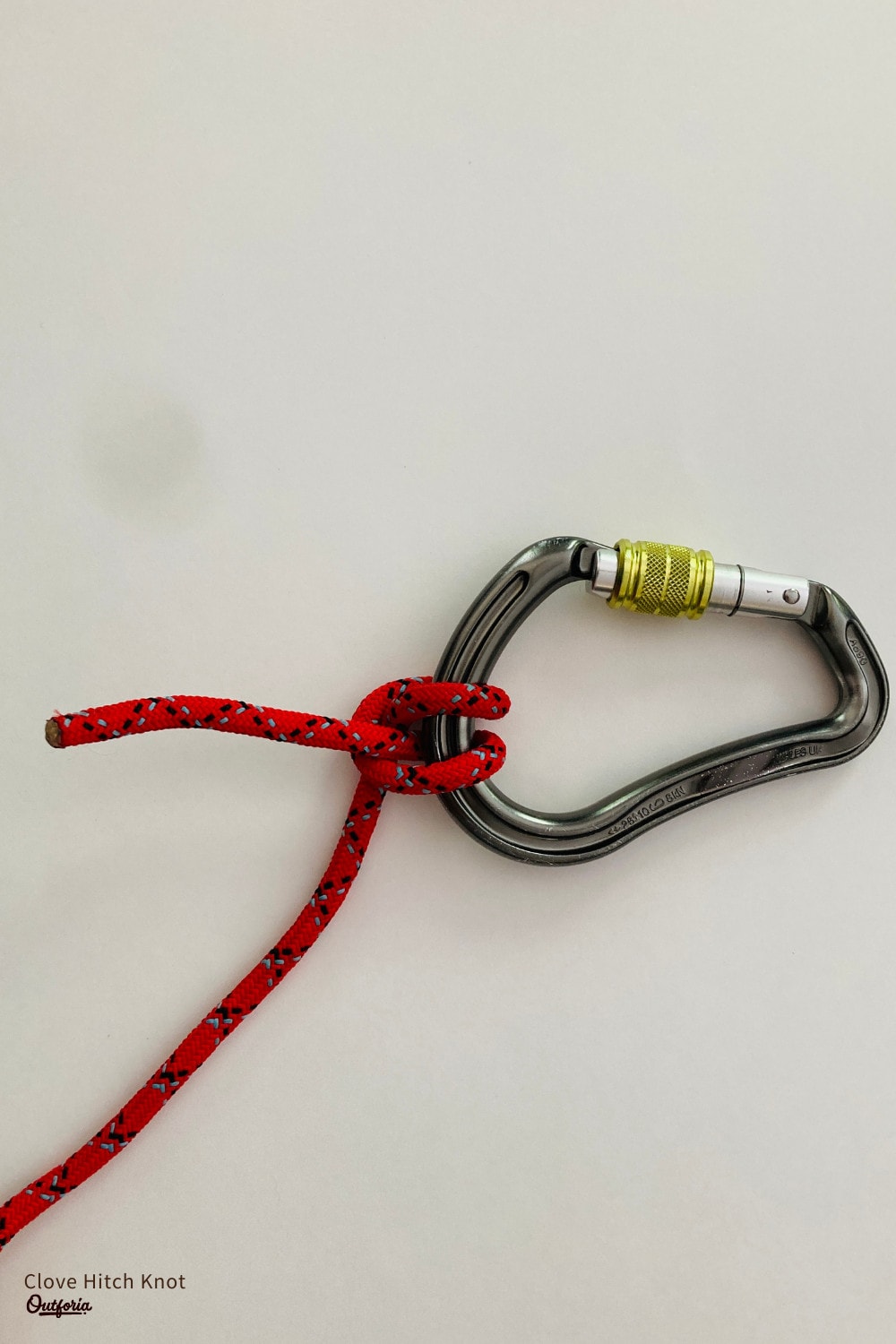 Clove Hitch knot image