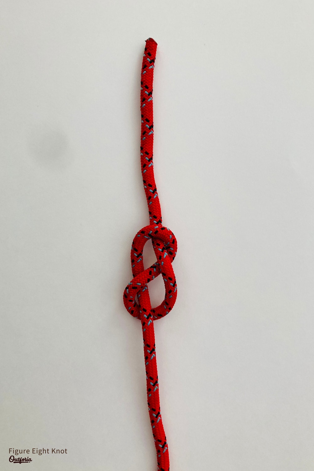 Figure eight knot image