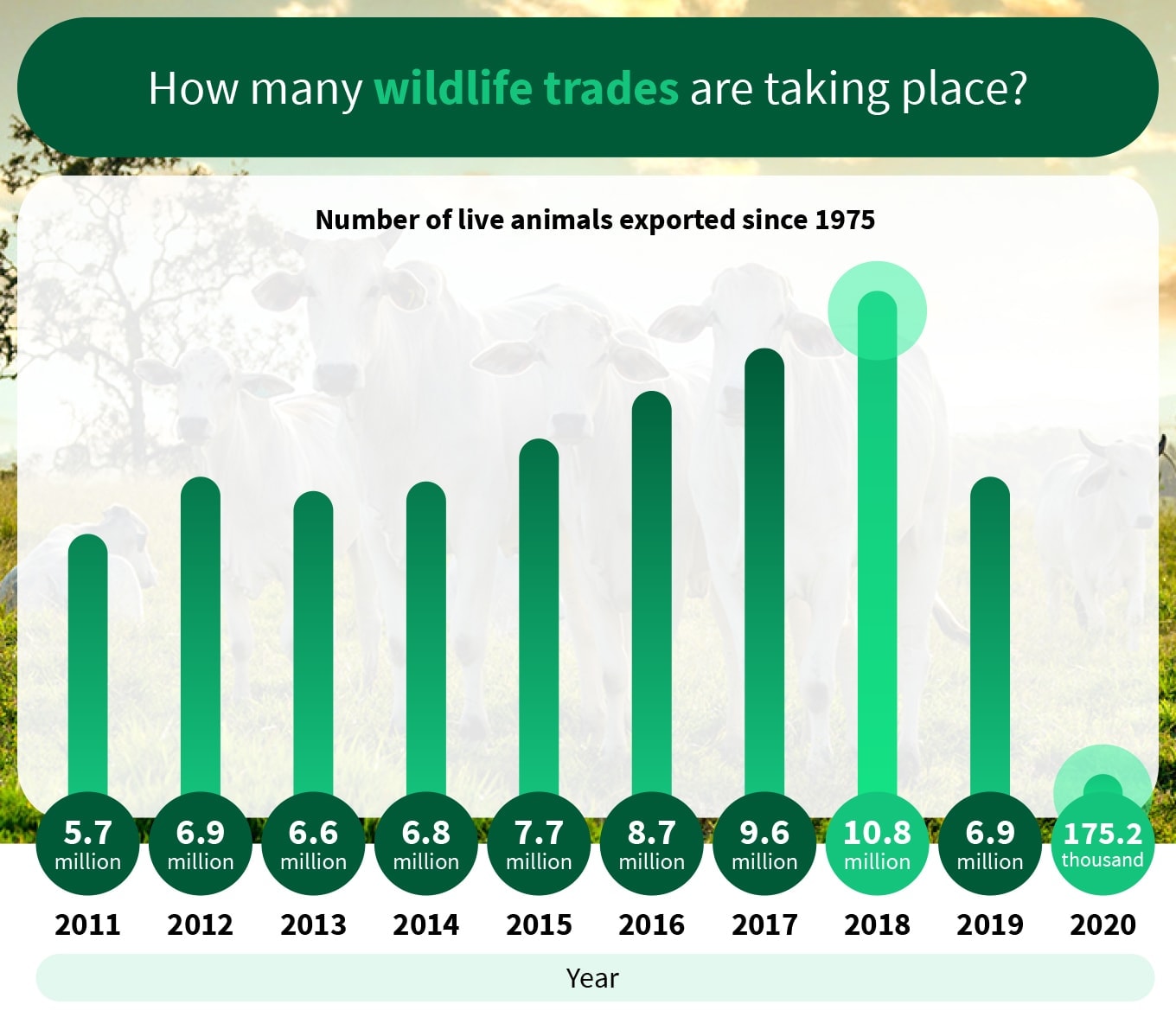 chart about how many wildlife trades are talking place since 1975