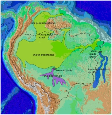 harta de distribuție a delfinilor râului amazon