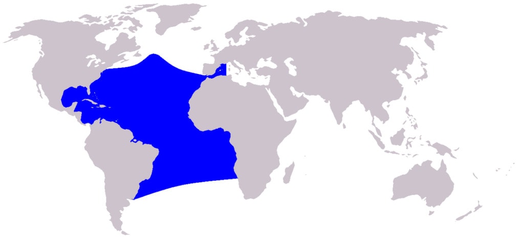 distribution map of Atlantic spotted dolphin