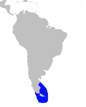 Mapa dystrybucji dolphin Commerson