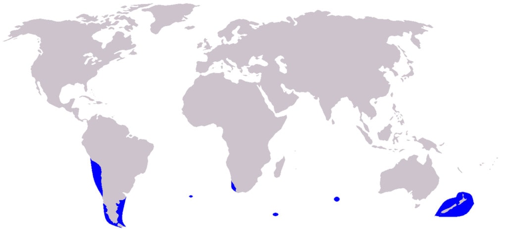 distribution map of dusky dolphins