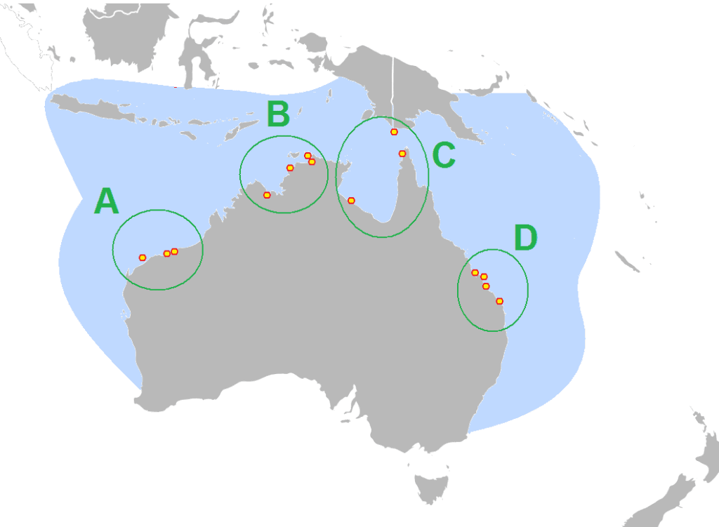 Flatback sea turtle distribution map