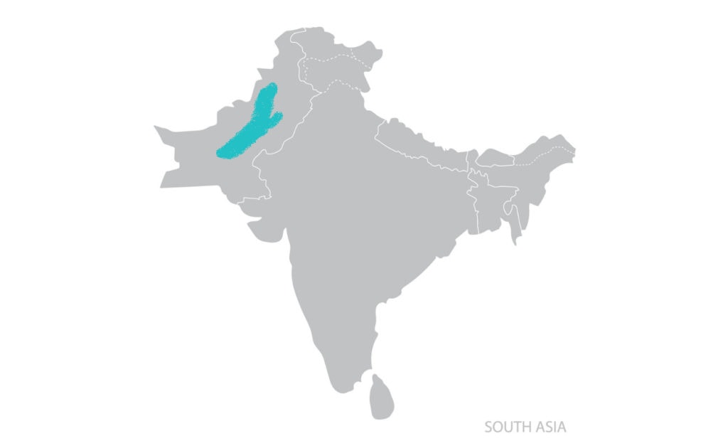 Distribution map of indus river dolphins
