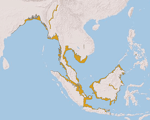 mapa de distribuição de golfinhos Irrawaddy