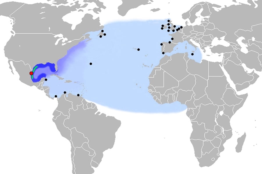 Kemp's Ridley sea turtle nesting distribution map