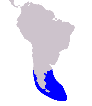 distribution karta över Peales delfin
