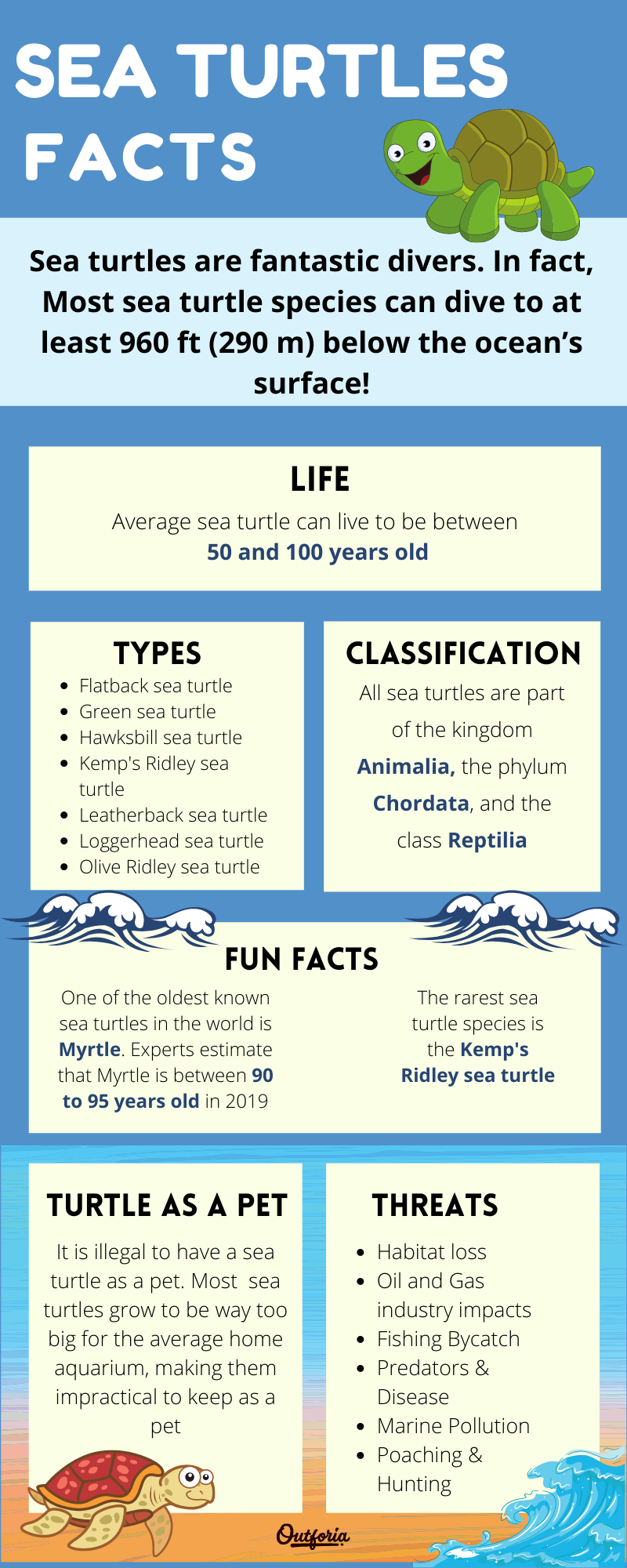 Types of sea turtles infographic