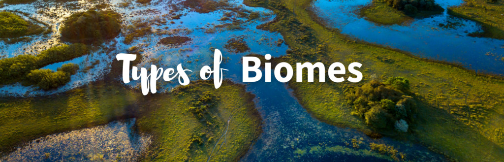 6 Types Of Biomes