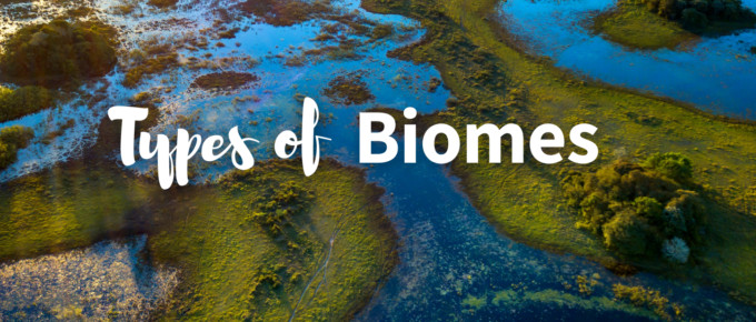 types of biomes