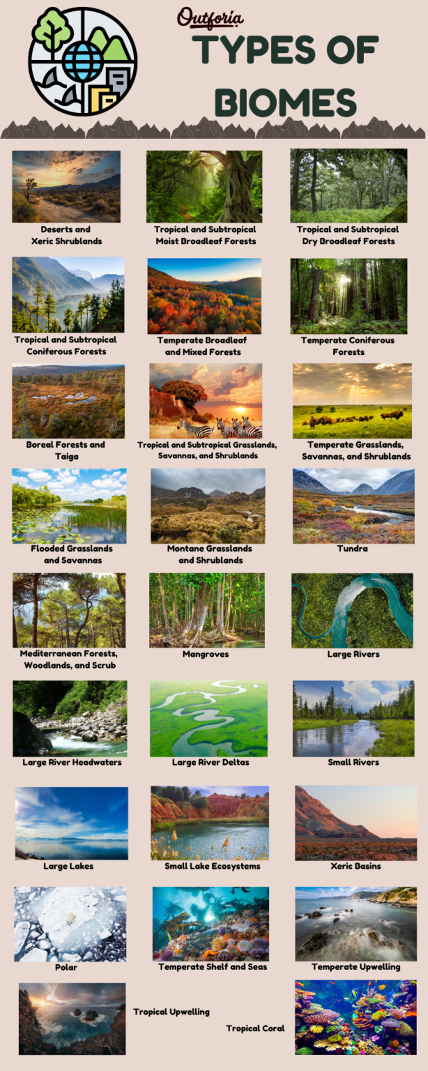 10 Types Of Biomes