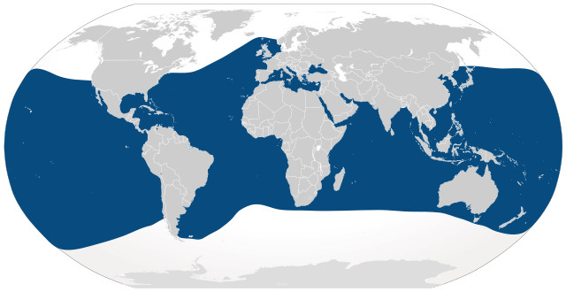 Common bottlenose dolphin distribution map