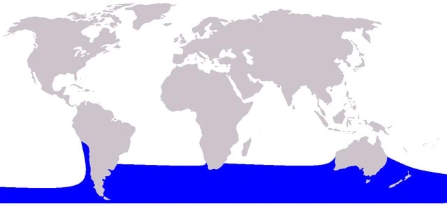 distribuční mapa delfína pravého (southern right whale dolphin)