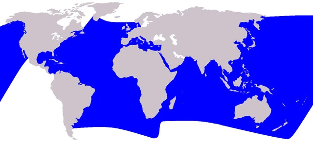 distribuční mapa pruhovaných delfínů