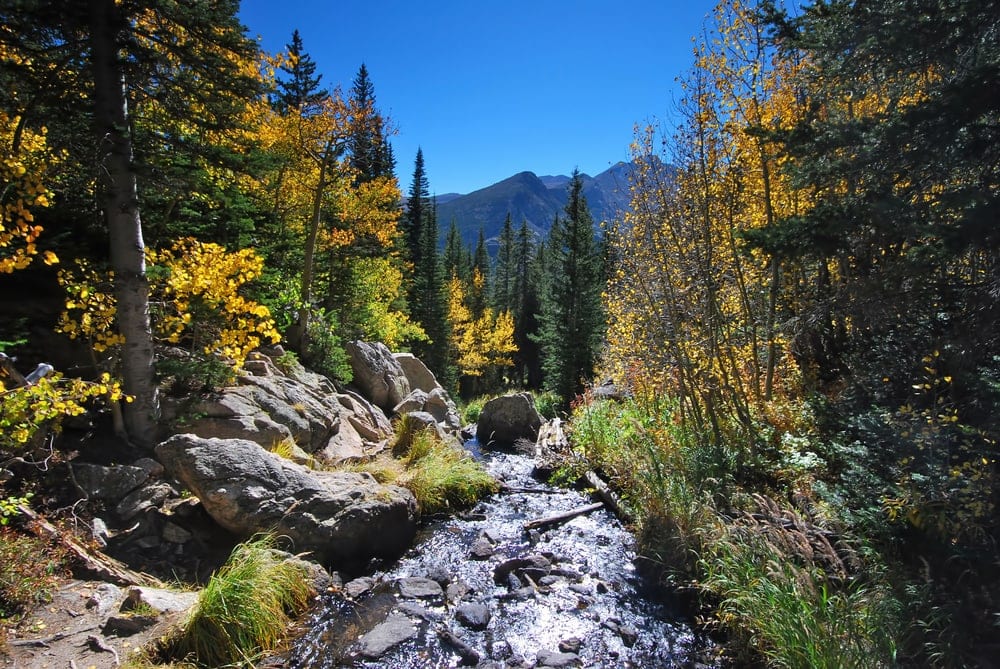 TRail with streams in Rocky Mountain national park