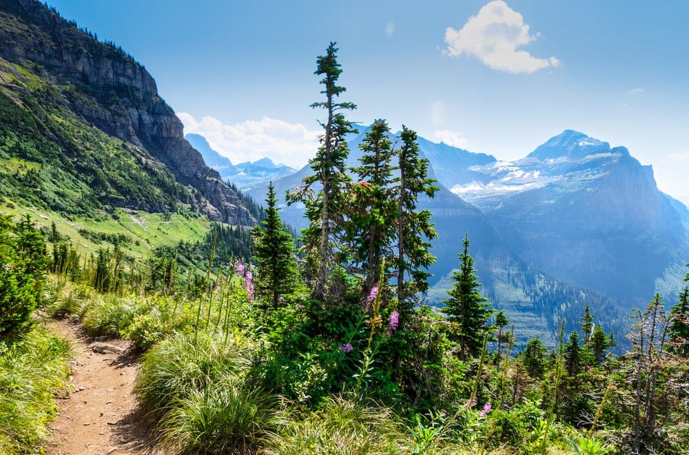 trail view in Glacier National park