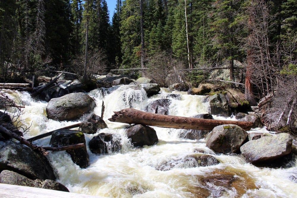 water rushing on big rocks and logs on Wild Basin Trail