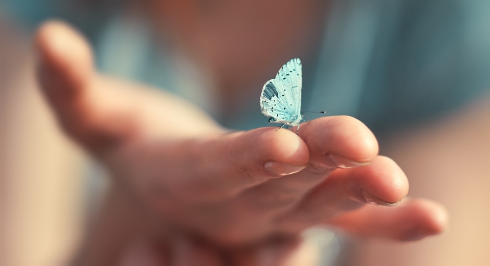 woman holding a small fragile blue butterfly