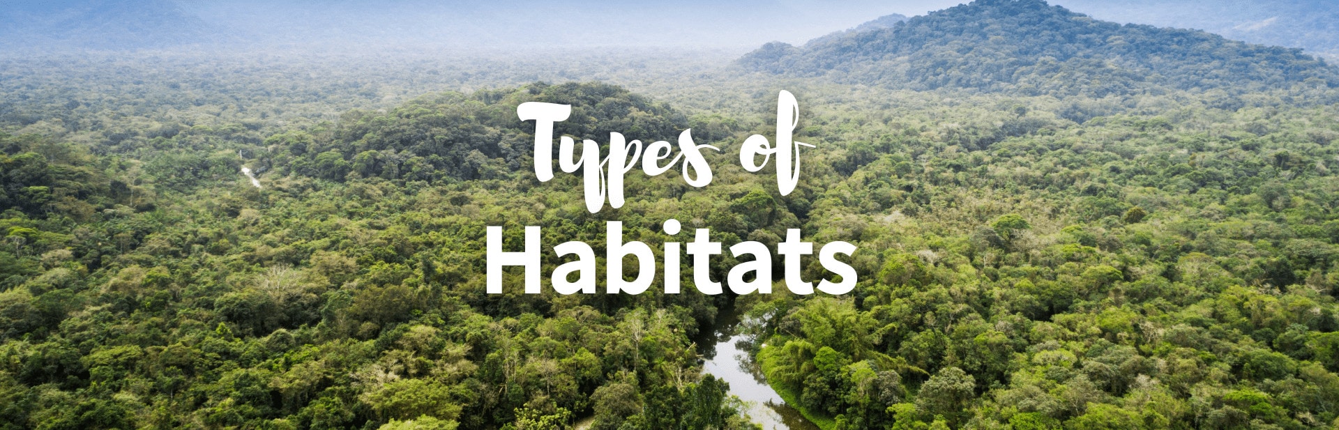 10 Different Types of Habitats that Animals and Plants Call Home