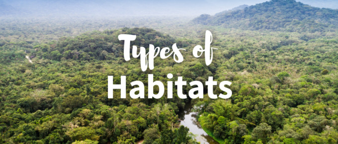 Types of Habitats Infographic