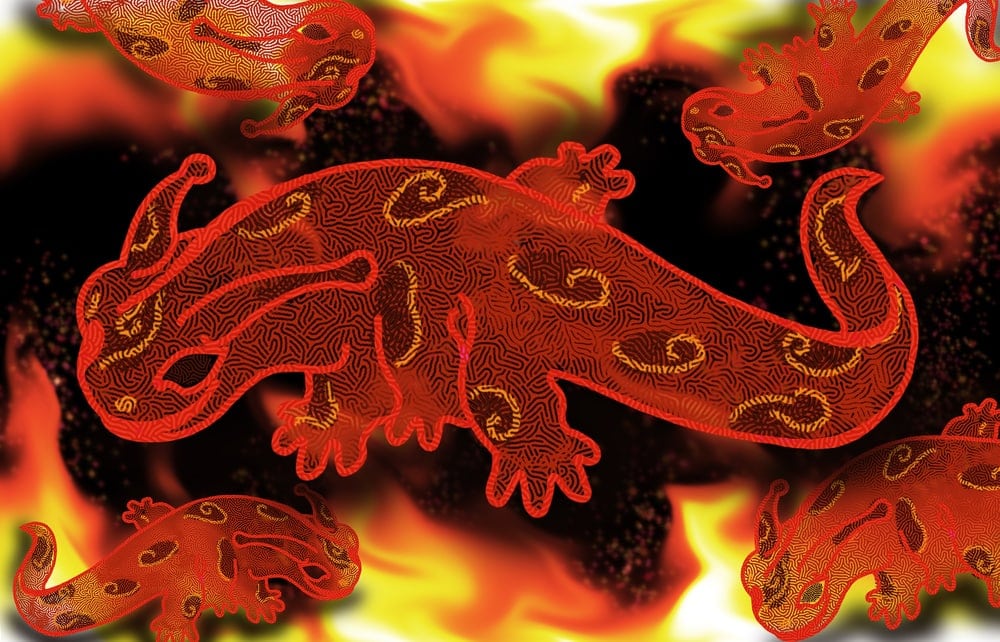 Fire symbol of salamander