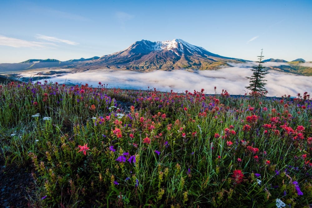 Mount St. Helens of United States