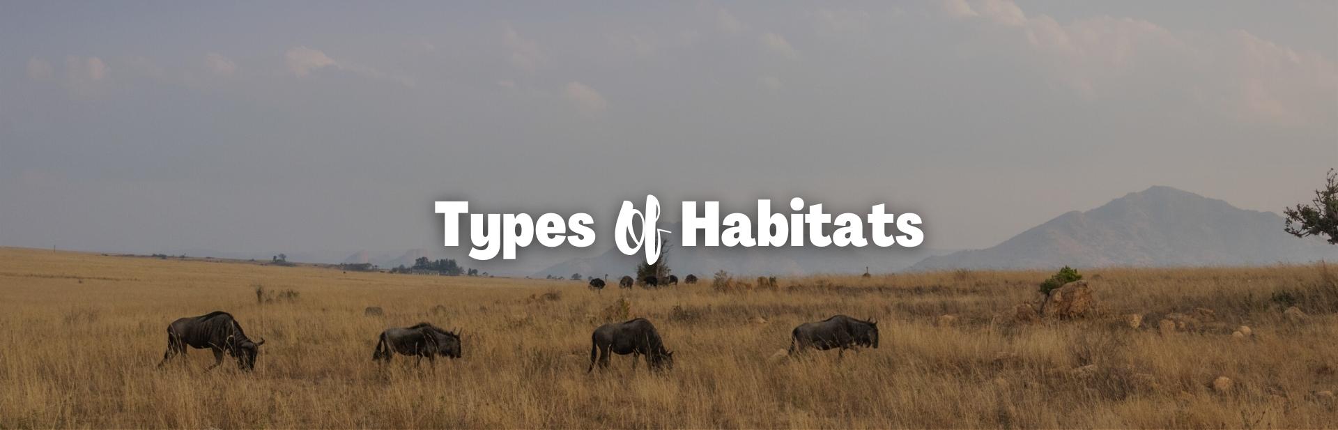 10 Different Types of Habitats that Animals and Plants Call Home